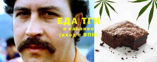 индика Вязники