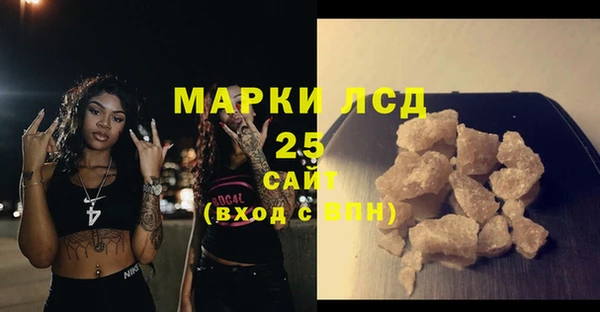 индика Вязники