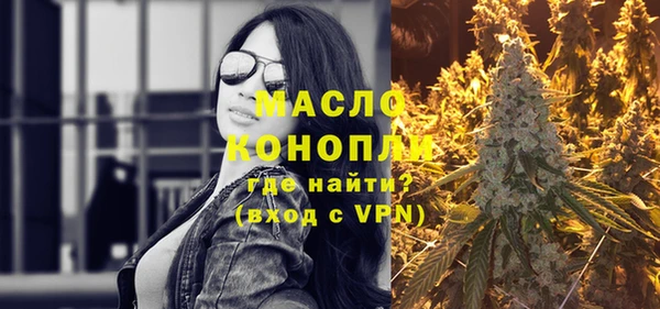 индика Вязники